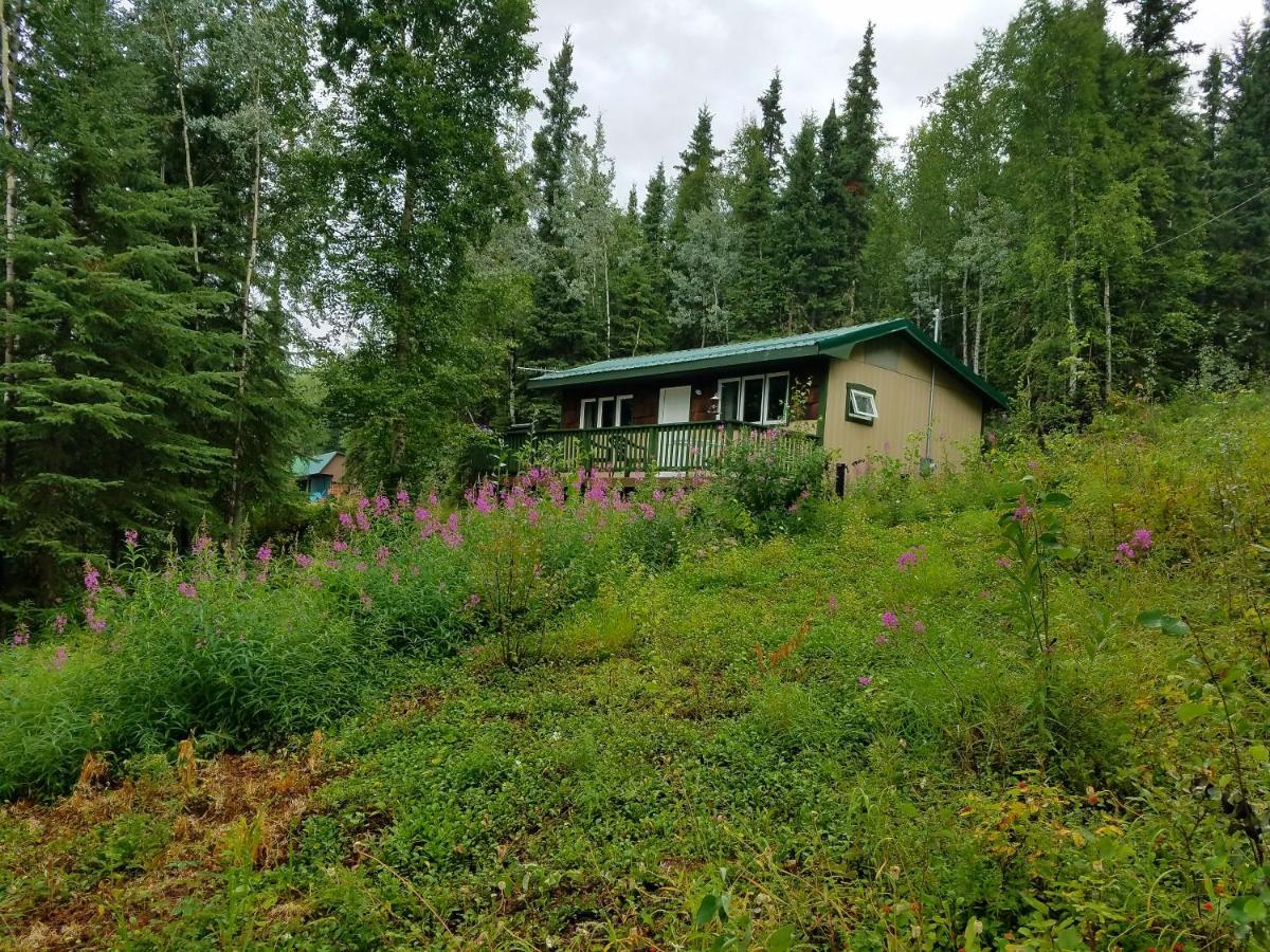 Northwoods Cottage Bed And Breakfast Fairbanks Buitenkant foto