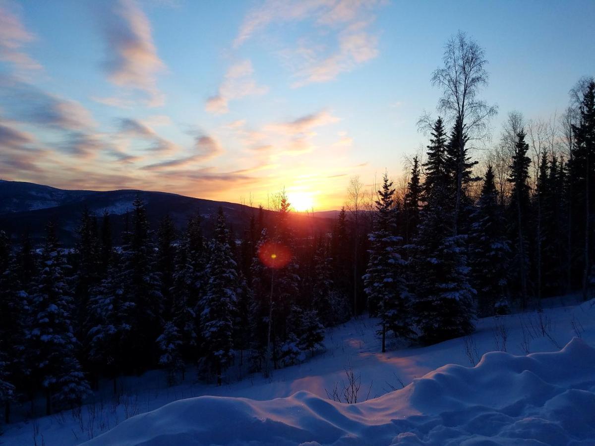 Northwoods Cottage Bed And Breakfast Fairbanks Buitenkant foto