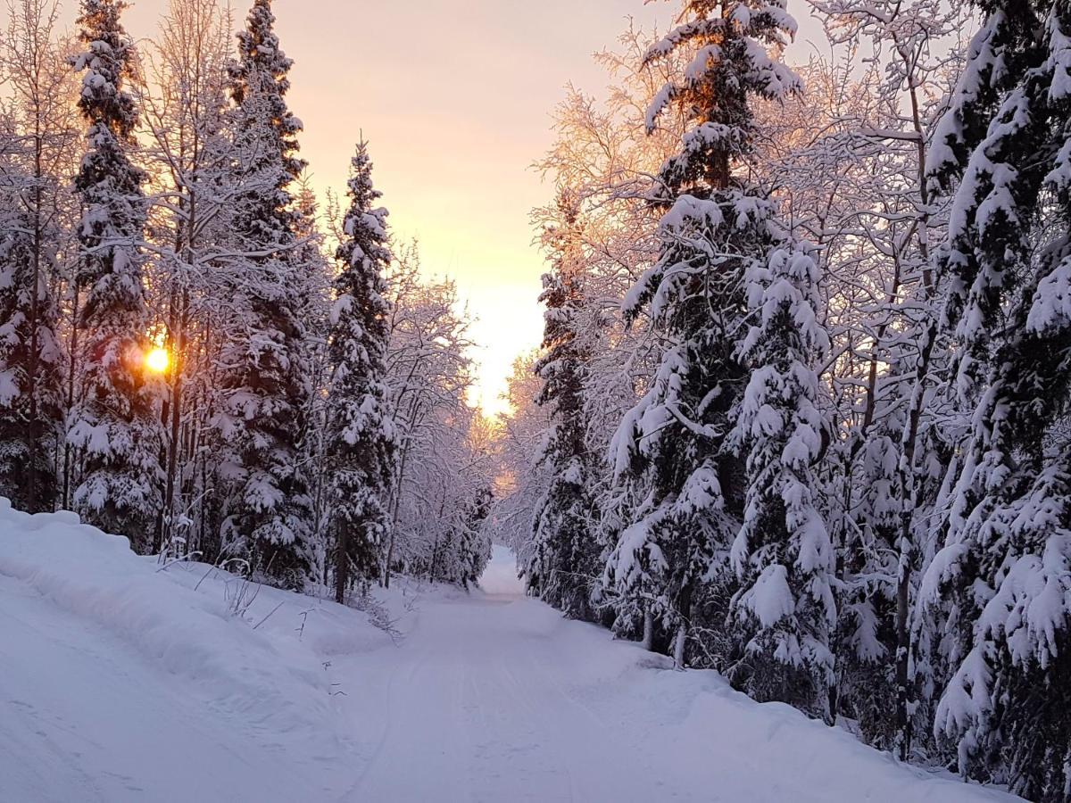 Northwoods Cottage Bed And Breakfast Fairbanks Buitenkant foto
