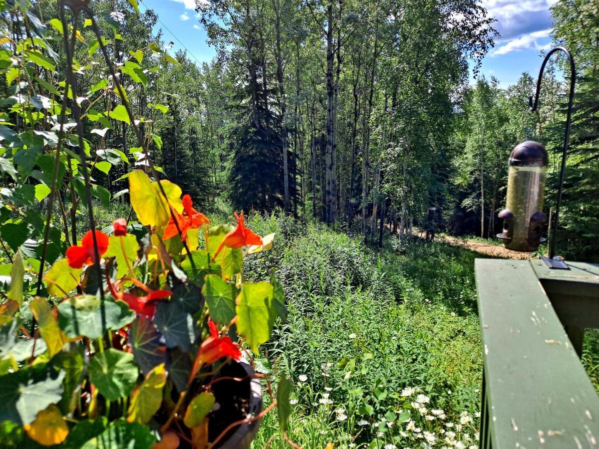 Northwoods Cottage Bed And Breakfast Fairbanks Buitenkant foto