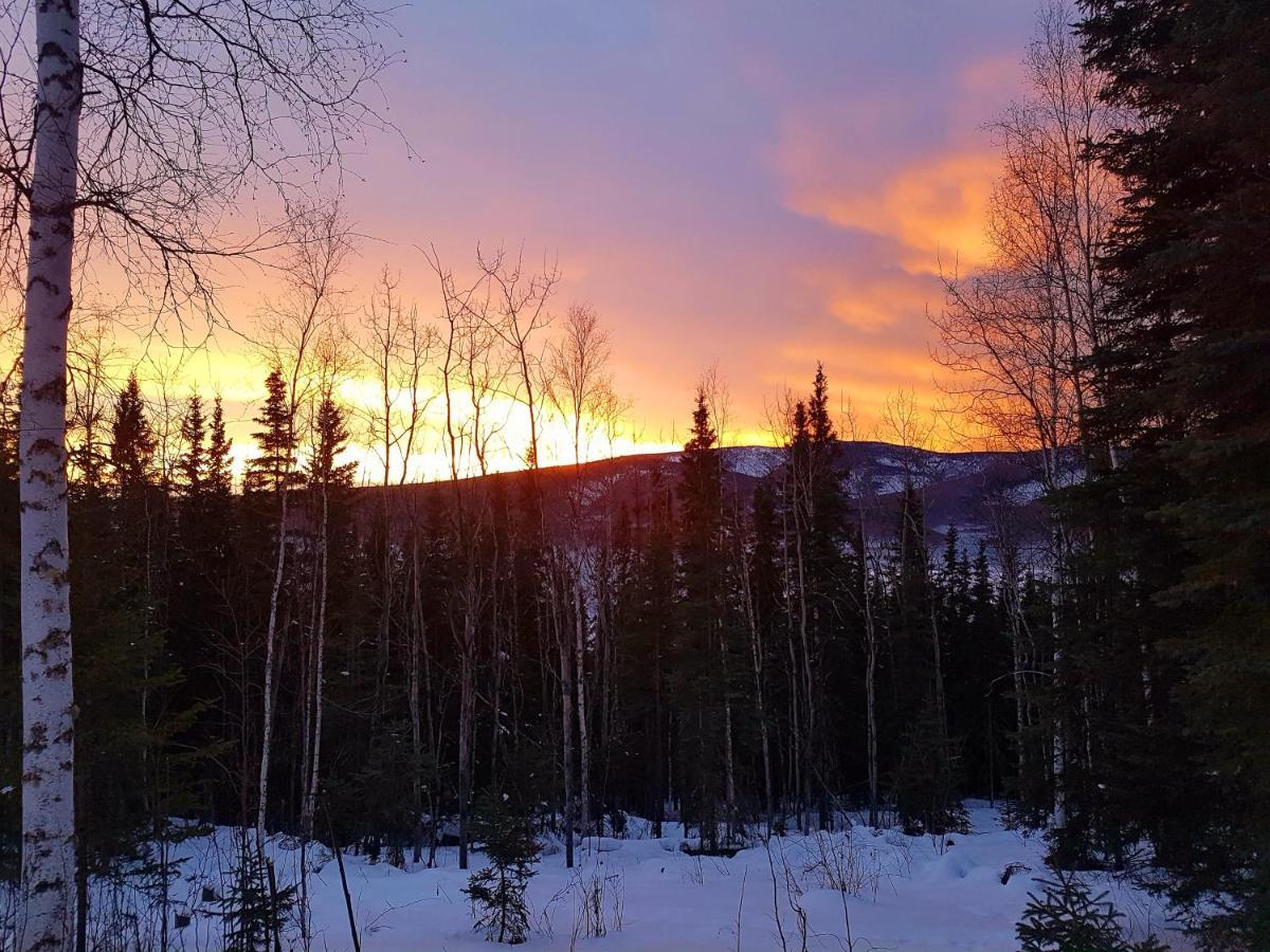 Northwoods Cottage Bed And Breakfast Fairbanks Buitenkant foto
