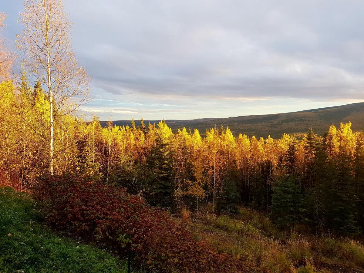Northwoods Cottage Bed And Breakfast Fairbanks Buitenkant foto