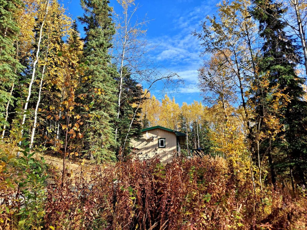 Northwoods Cottage Bed And Breakfast Fairbanks Buitenkant foto