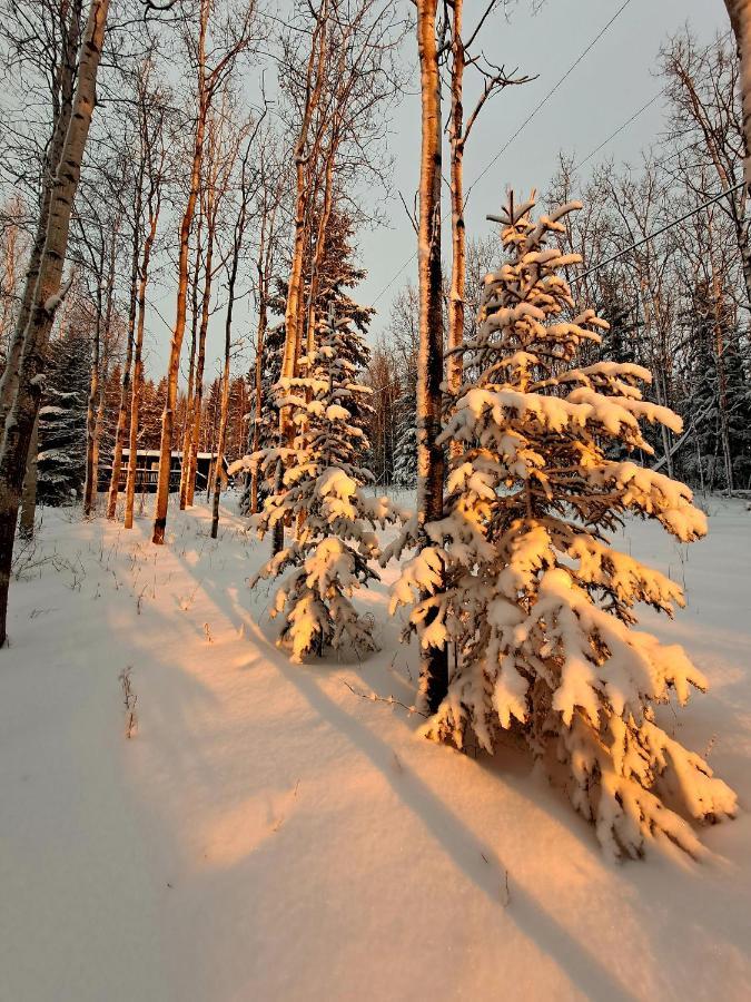 Northwoods Cottage Bed And Breakfast Fairbanks Buitenkant foto
